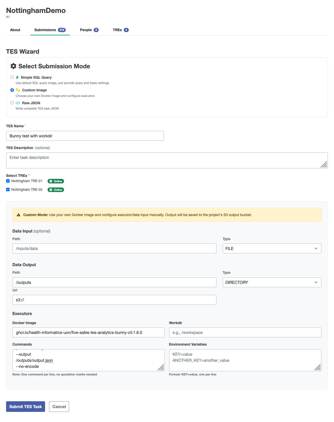 Screenshot of the custom image wizard running a bunny query