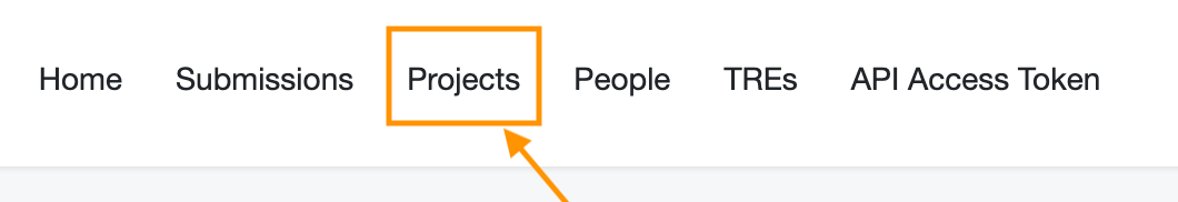 A screenshot of the web application, highlighting the link to the projects view